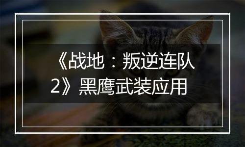 《战地：叛逆连队2》黑鹰武装应用