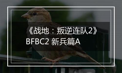 《战地：叛逆连队2》BFBC2 新兵篇A