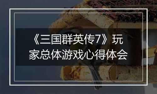 《三国群英传7》玩家总体游戏心得体会