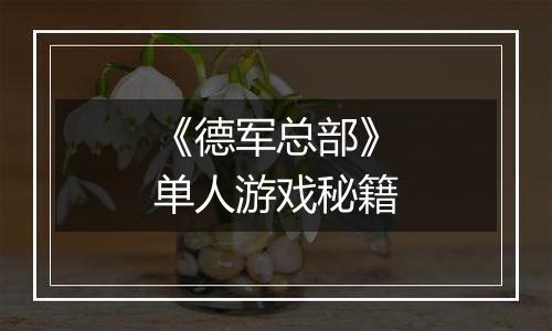 《德军总部》单人游戏秘籍