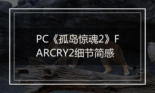 PC《孤岛惊魂2》FARCRY2细节简感