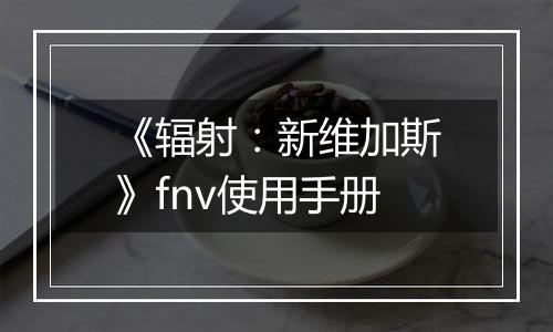 《辐射：新维加斯》fnv使用手册