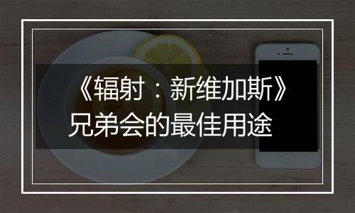 《辐射：新维加斯》兄弟会的最佳用途