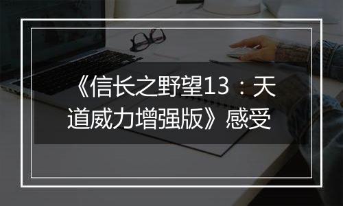 《信长之野望13：天道威力增强版》感受