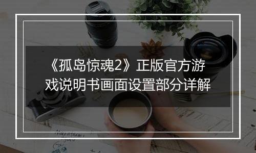 《孤岛惊魂2》正版官方游戏说明书画面设置部分详解