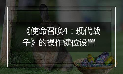 《使命召唤4：现代战争》的操作键位设置