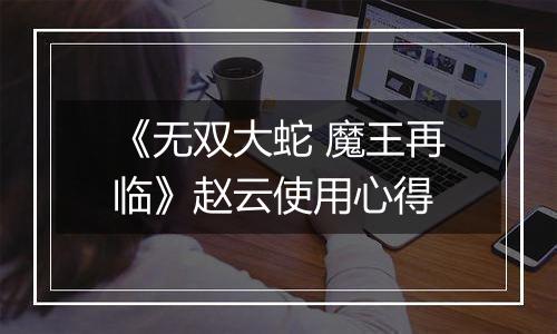 《无双大蛇 魔王再临》赵云使用心得