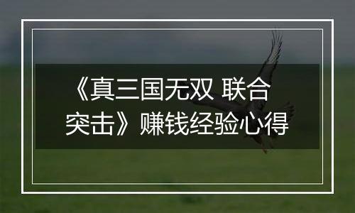 《真三国无双 联合突击》赚钱经验心得