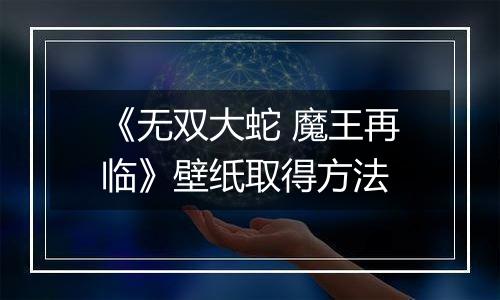 《无双大蛇 魔王再临》壁纸取得方法