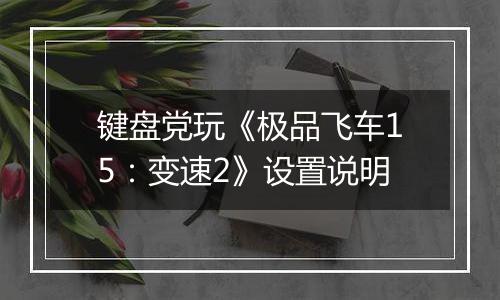 键盘党玩《极品飞车15：变速2》设置说明