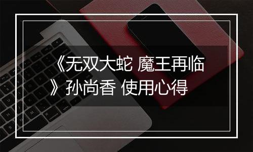 《无双大蛇 魔王再临》孙尚香 使用心得