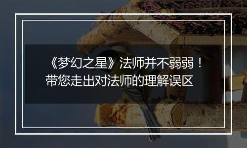 《梦幻之星》法师并不弱弱！带您走出对法师的理解误区