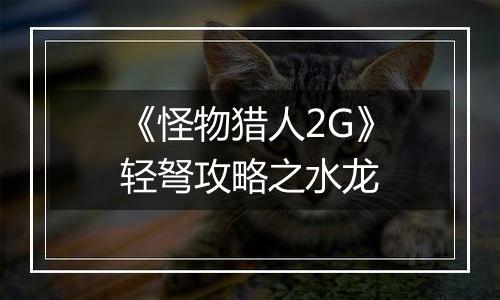《怪物猎人2G》轻弩攻略之水龙