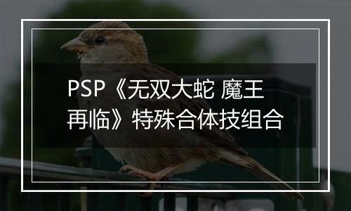 PSP《无双大蛇 魔王再临》特殊合体技组合