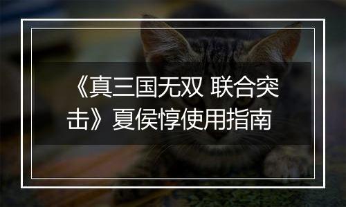 《真三国无双 联合突击》夏侯惇使用指南