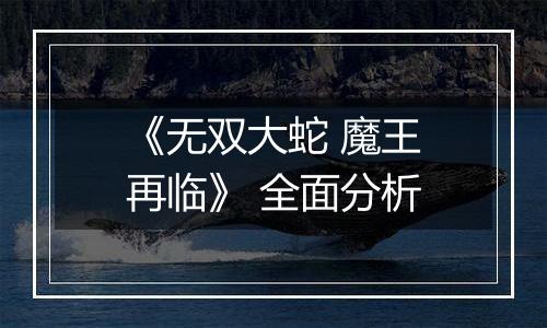 《无双大蛇 魔王再临》 全面分析