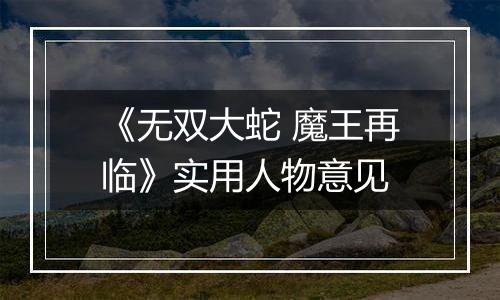 《无双大蛇 魔王再临》实用人物意见