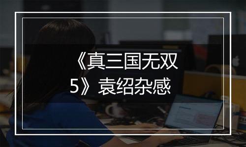 《真三国无双5》袁绍杂感