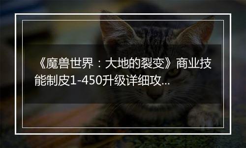 《魔兽世界：大地的裂变》商业技能制皮1-450升级详细攻略