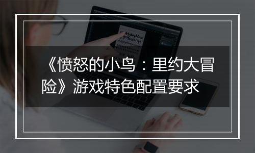 《愤怒的小鸟：里约大冒险》游戏特色配置要求