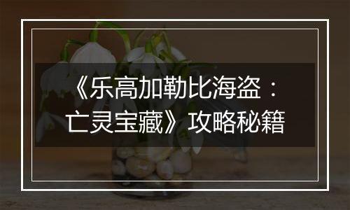《乐高加勒比海盗：亡灵宝藏》攻略秘籍