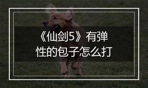 《仙剑5》有弹性的包子怎么打