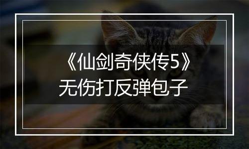 《仙剑奇侠传5》无伤打反弹包子