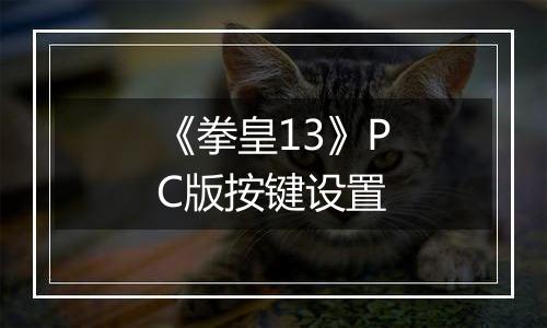《拳皇13》PC版按键设置
