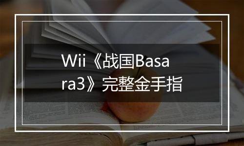 Wii《战国Basara3》完整金手指