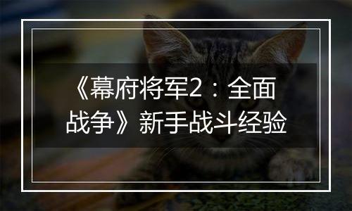 《幕府将军2：全面战争》新手战斗经验