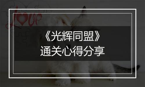 《光辉同盟》通关心得分享