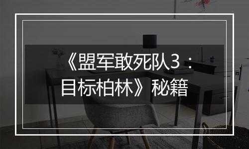 《盟军敢死队3：目标柏林》秘籍