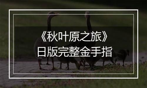 《秋叶原之旅》日版完整金手指