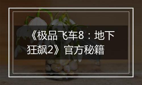 《极品飞车8：地下狂飙2》官方秘籍