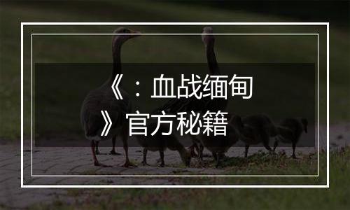 《：血战缅甸》官方秘籍