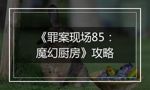 《罪案现场85：魔幻厨房》攻略