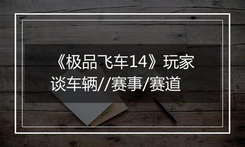 《极品飞车14》玩家谈车辆//赛事/赛道