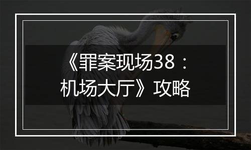 《罪案现场38：机场大厅》攻略
