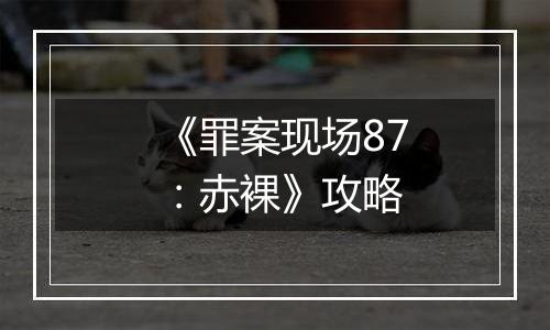 《罪案现场87：赤裸》攻略