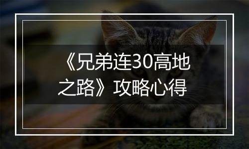 《兄弟连30高地之路》攻略心得