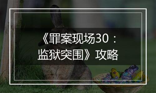 《罪案现场30：监狱突围》攻略