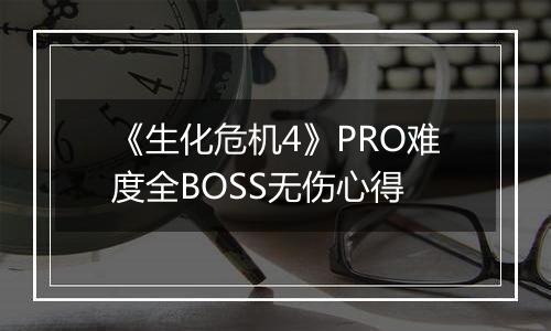 《生化危机4》PRO难度全BOSS无伤心得