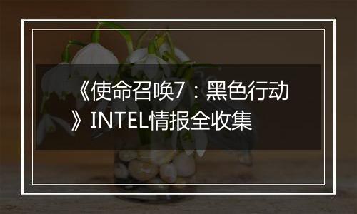 《使命召唤7：黑色行动》INTEL情报全收集
