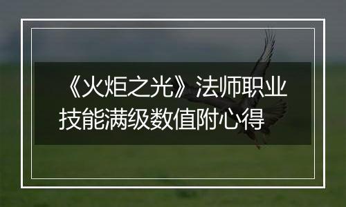 《火炬之光》法师职业技能满级数值附心得