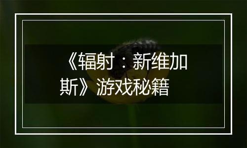 《辐射：新维加斯》游戏秘籍