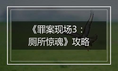 《罪案现场3：厕所惊魂》攻略