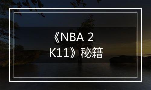 《NBA 2K11》秘籍