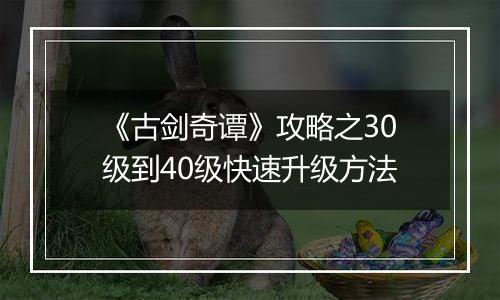 《古剑奇谭》攻略之30级到40级快速升级方法