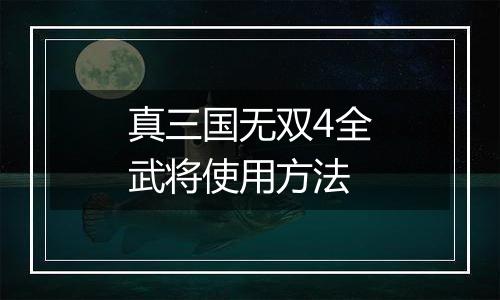 真三国无双4全武将使用方法