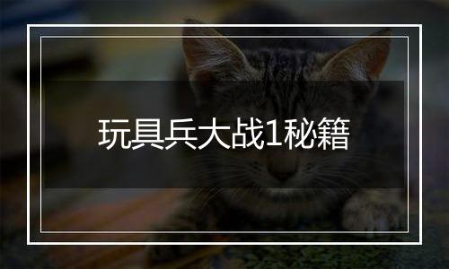 玩具兵大战1秘籍